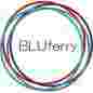 Bluferry Consulting (Pty) Ltd logo